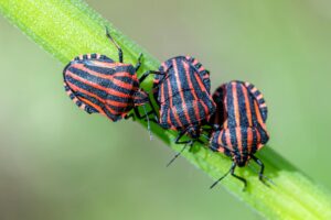 ZetaChain Ignored the Bug That Cost $334K